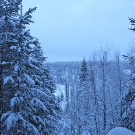 Holiday home Holiday Saaruanpesa B Kuusamo